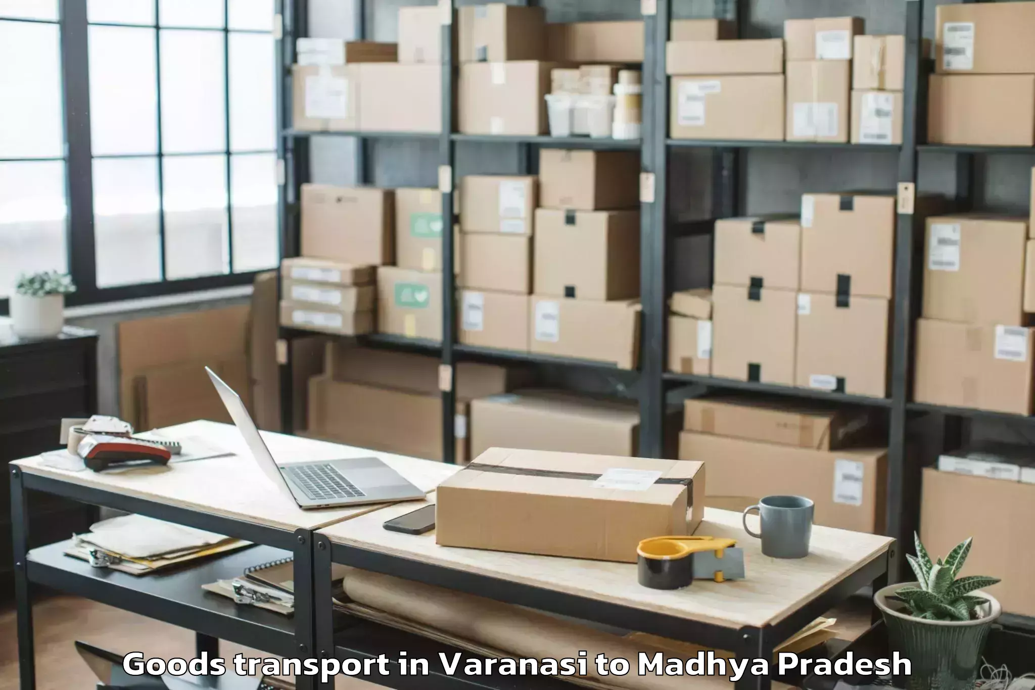 Expert Varanasi to Sage University Indore Goods Transport